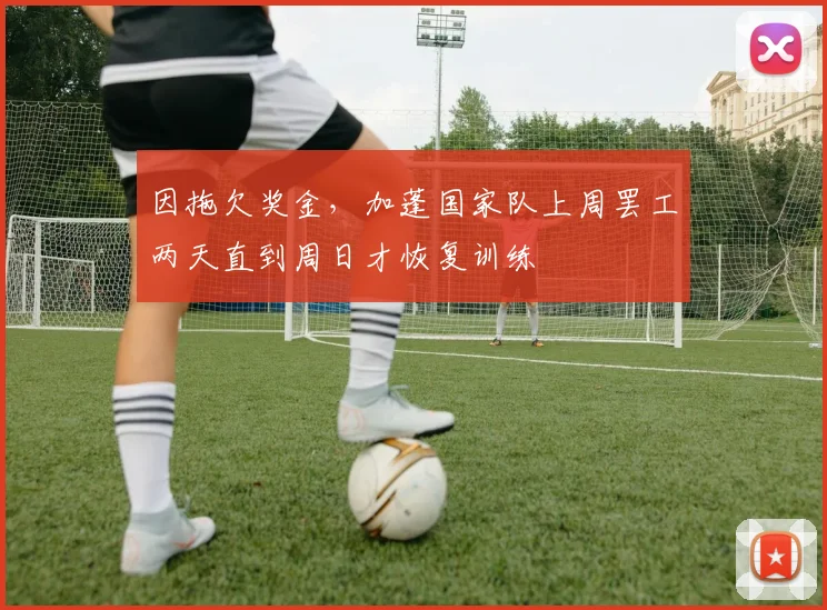 因拖欠奖金，加蓬国家队上周罢工两天直到周日才恢复训练