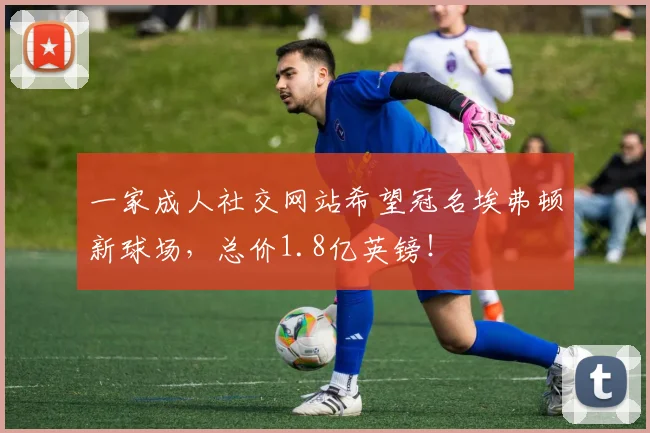 一家成人社交网站希望冠名埃弗顿新球场，总价1.8亿英镑！