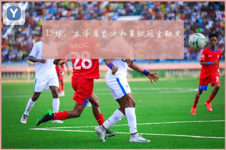 15球，本泽马首次加冕欧冠金靴奖